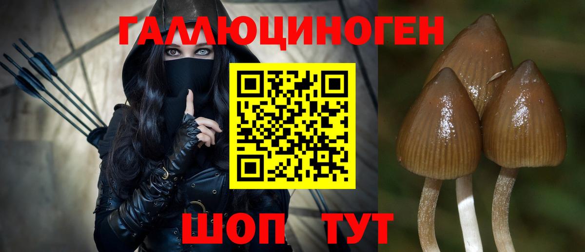 Псилоцибиновые грибы Psilocybe  Галлюциногенные грибы ЛСД  Нововоронеж  Вход с VPN 